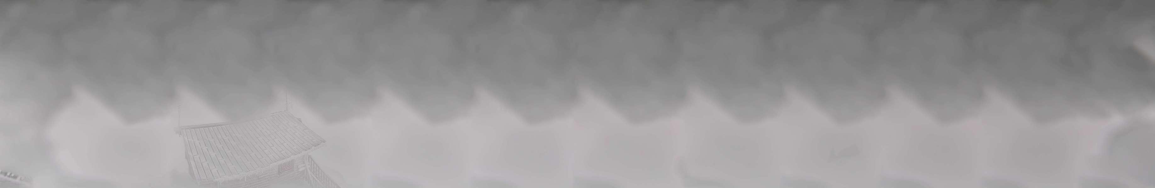 Webcam Sommet Haut Fleury - Praz-de-Lys