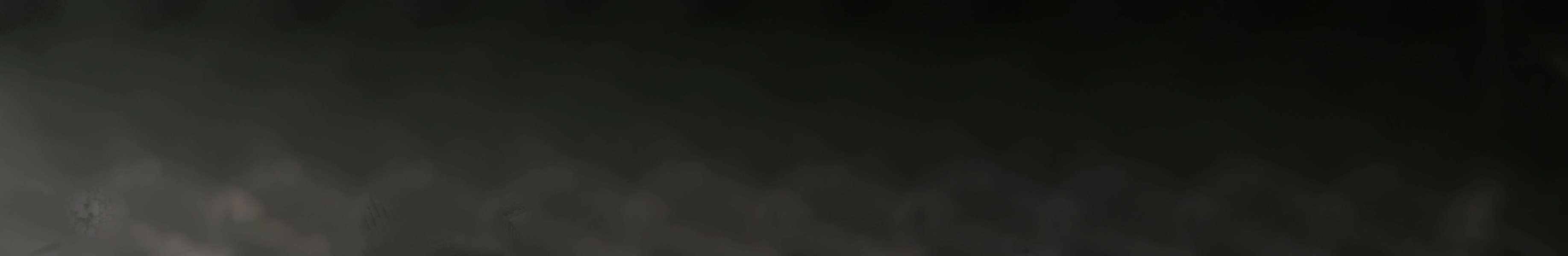 Webcam Sommet Haut Fleury - Praz-de-Lys