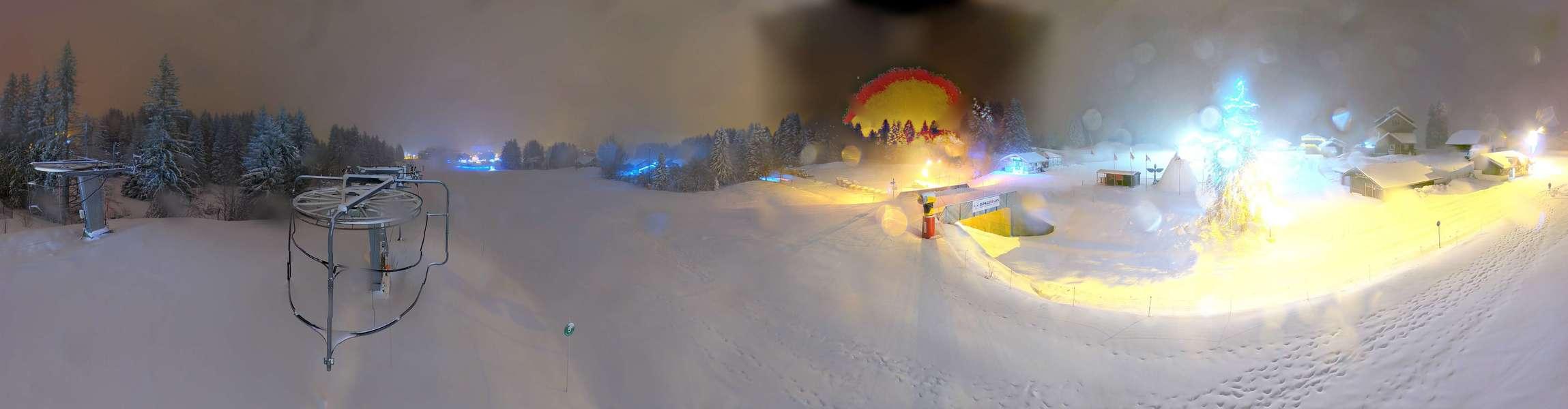 Webcam Secteur Chevaly - Praz-de-Lys