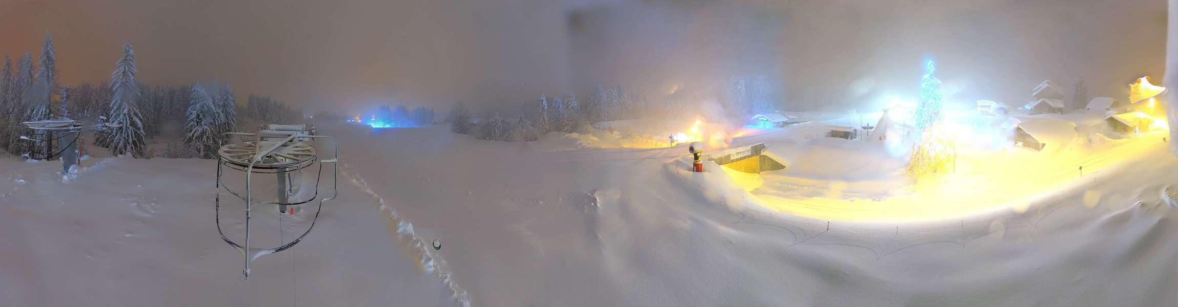 Webcam Secteur Chevaly - Praz-de-Lys