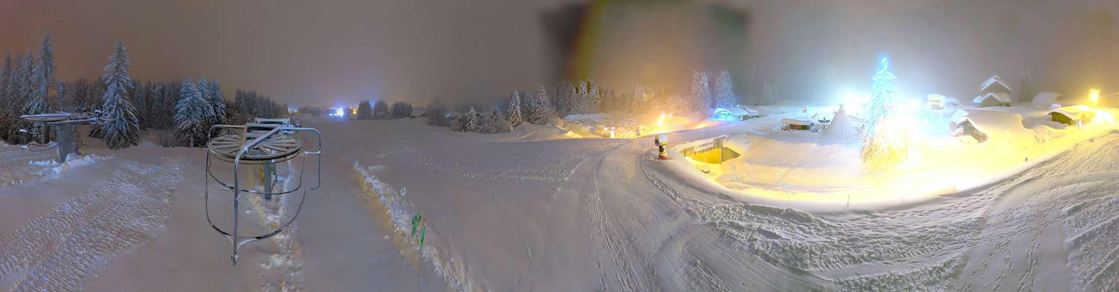 Webcam Secteur Chevaly - Praz-de-Lys