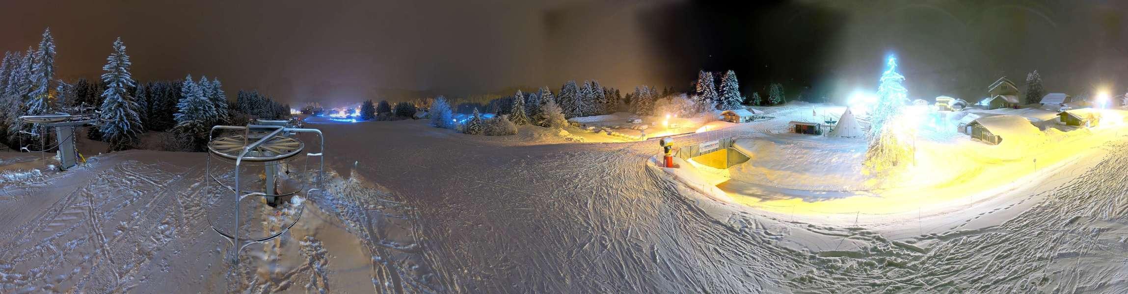 Webcam Secteur Chevaly - Praz-de-Lys