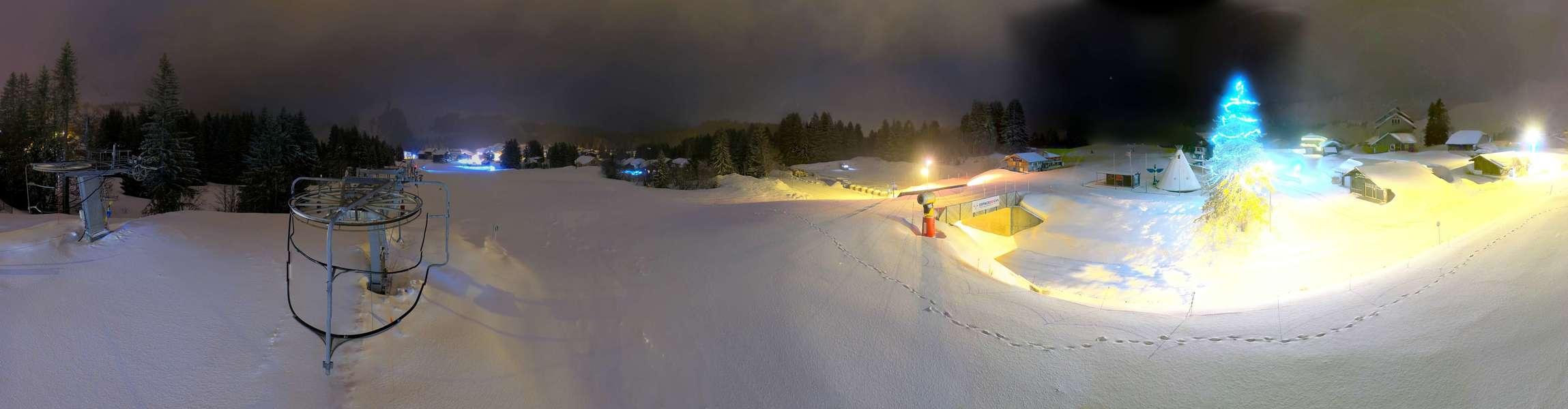 Webcam Secteur Chevaly - Praz-de-Lys