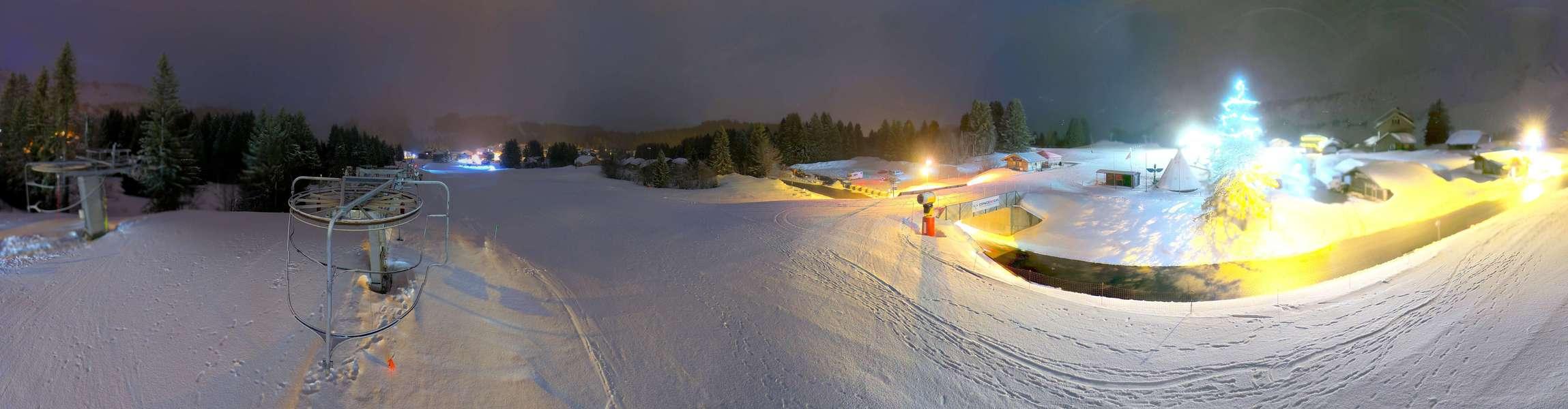 Webcam Secteur Chevaly - Praz-de-Lys