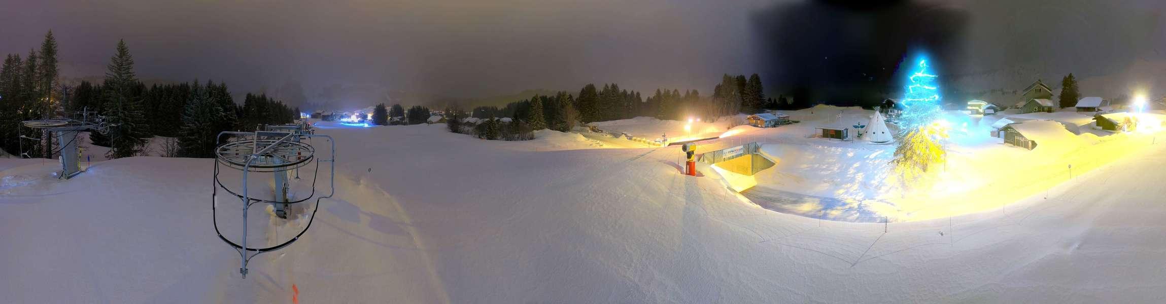 Webcam Secteur Chevaly - Praz-de-Lys