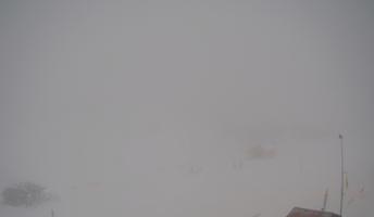 Webcam Secteur Moliettes - Praz de Lys